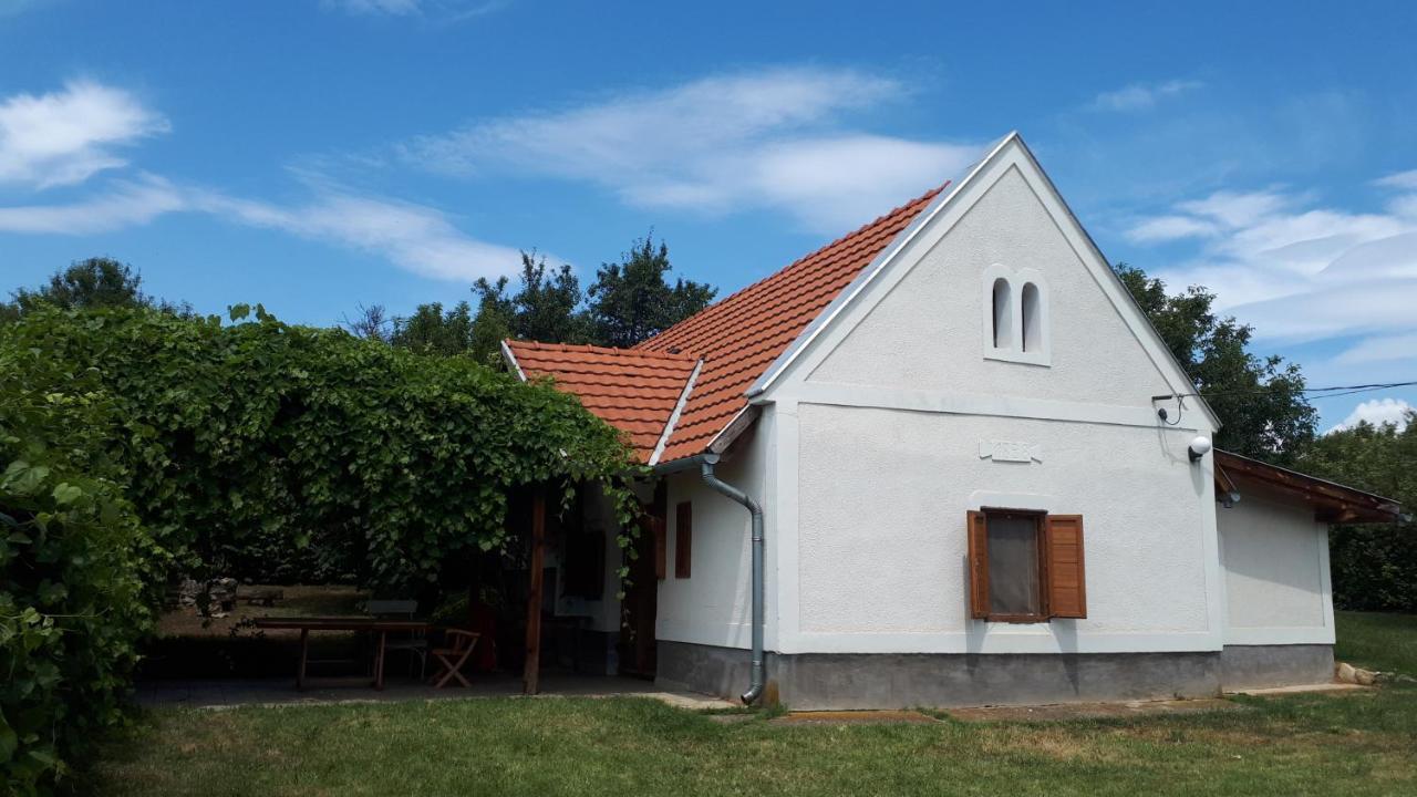 Káli 120 in Unknown City, Hungary