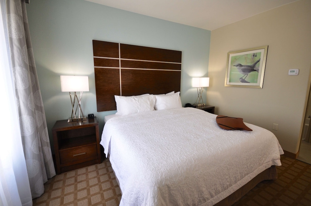 Hampton Inn & Suites Hutto Austin - photo 15