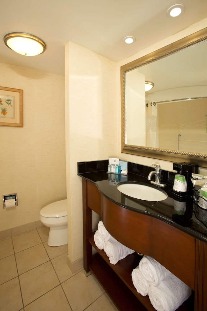 Hampton Inn Alexandria Pentagon South - photo 6