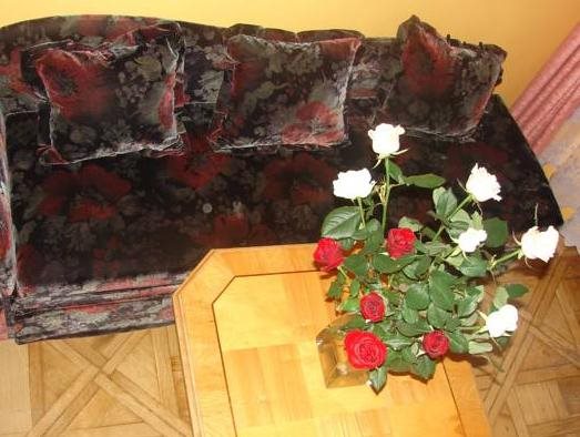 Pokoje Leonardo - last minute hotel in Krakow