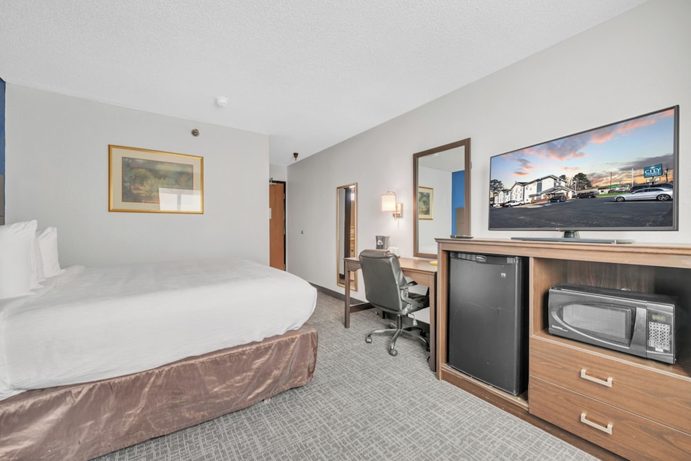 City Center Inn by OYO I 64 Newport News - photo 12