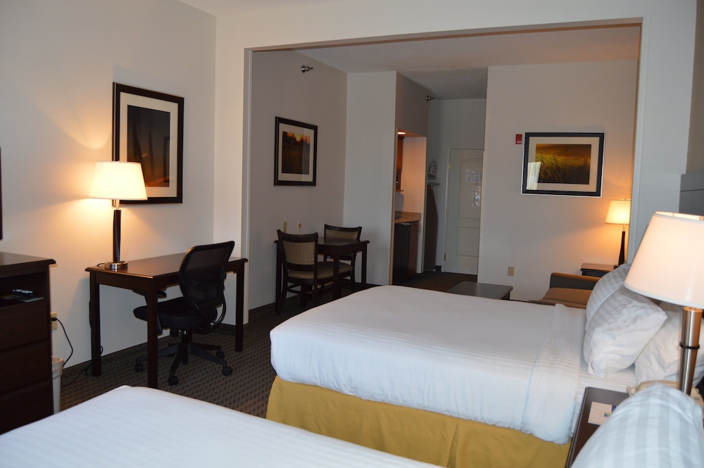 Holiday Inn Express & Suites Winner by IHG - photo 14
