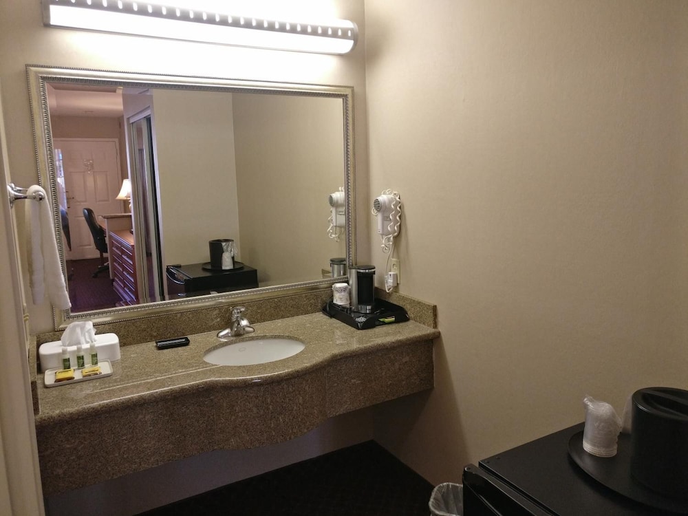 Burbank Inn and Suites - photo 13