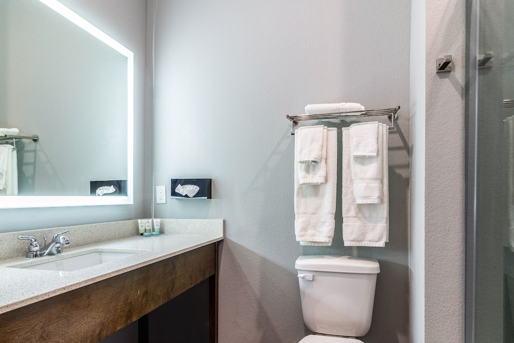 Scottish Inns & Suites Houston TX - photo 29