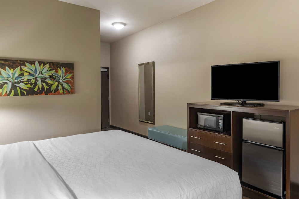 Holiday Inn Express & Suites Indio Coachella Valley by IHG - photo 24