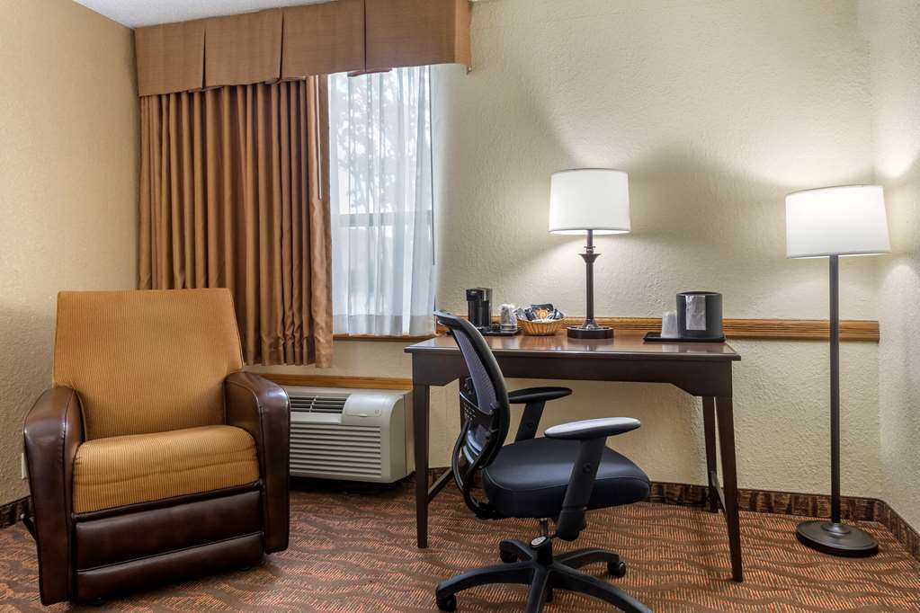 Comfort Inn at Thousand Hills - photo 7