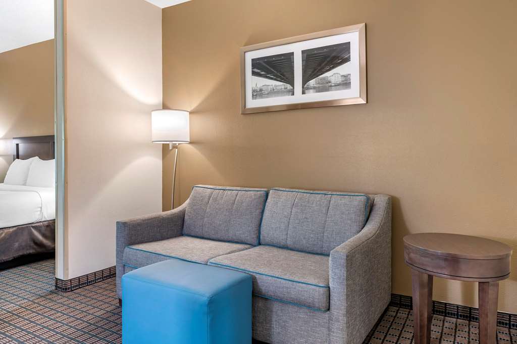 Comfort Inn & Suites Cincinnati Uptown Clifton - photo 16