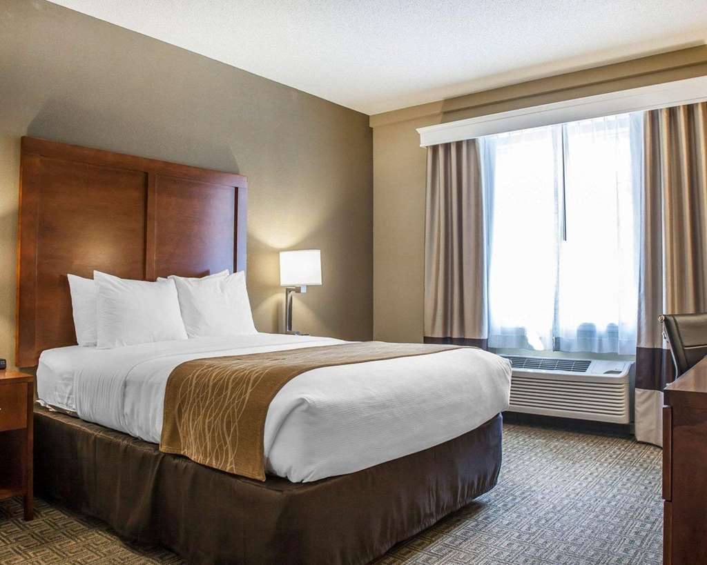 Comfort Inn & Suites Sturbridge Brimfield - photo 24