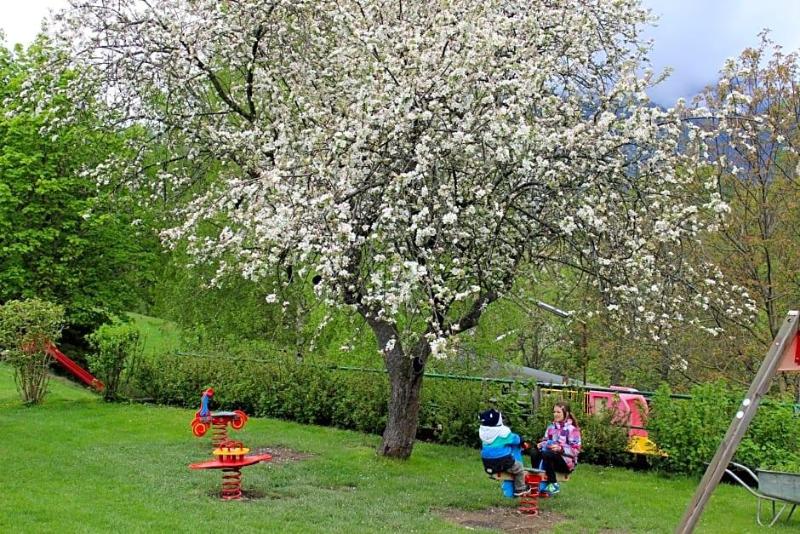 Flackl Wirt in Reichenau Im Muehlkreis, Austria