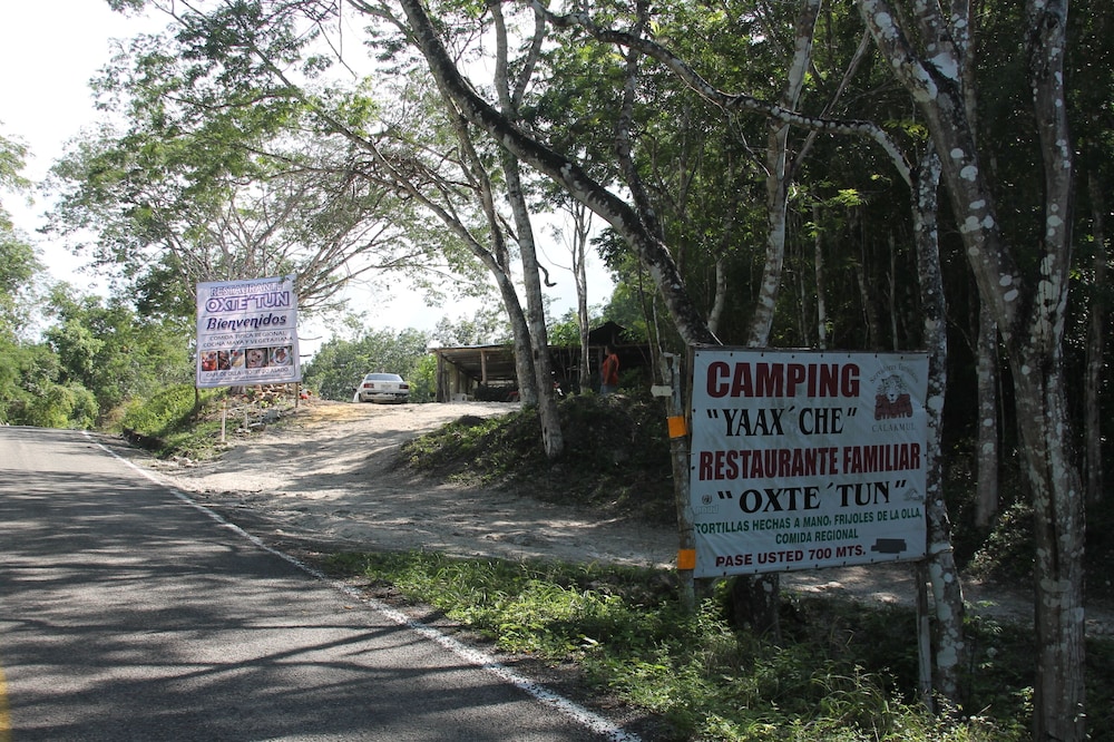 Campamento Yaaxche en Calakmul in Xpujil, Mexico