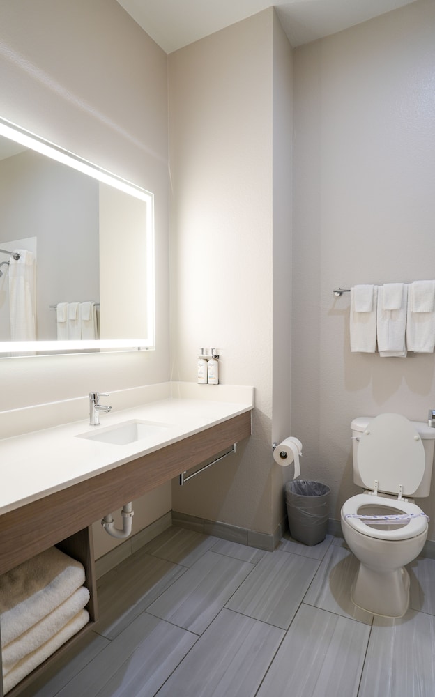 Holiday Inn Express & Suites Dallas Southwest Cedar Hill by IHG - photo 25
