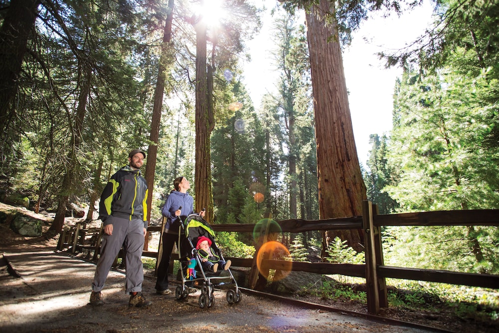 John Muir Lodge - photo 15
