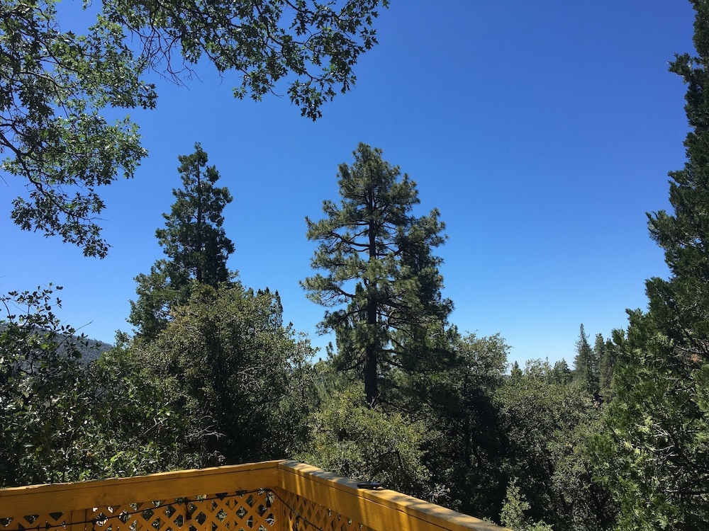 Idyllwild Bunkhouse - photo 47