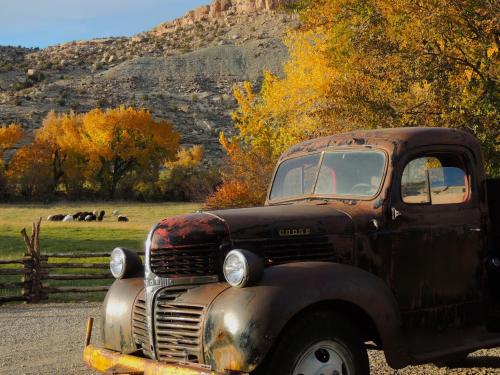 Canyon Of The Ancients Guest Ranch - photo 32