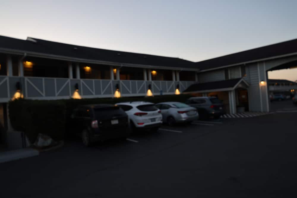 Global Inn - photo 14