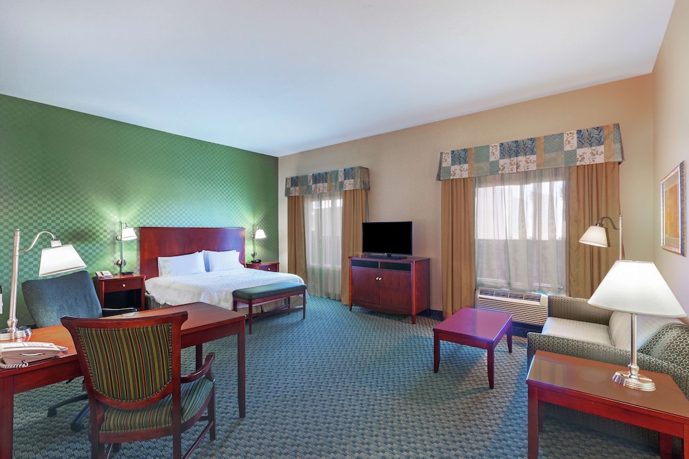 Hampton Inn & Suites El Paso West - photo 23