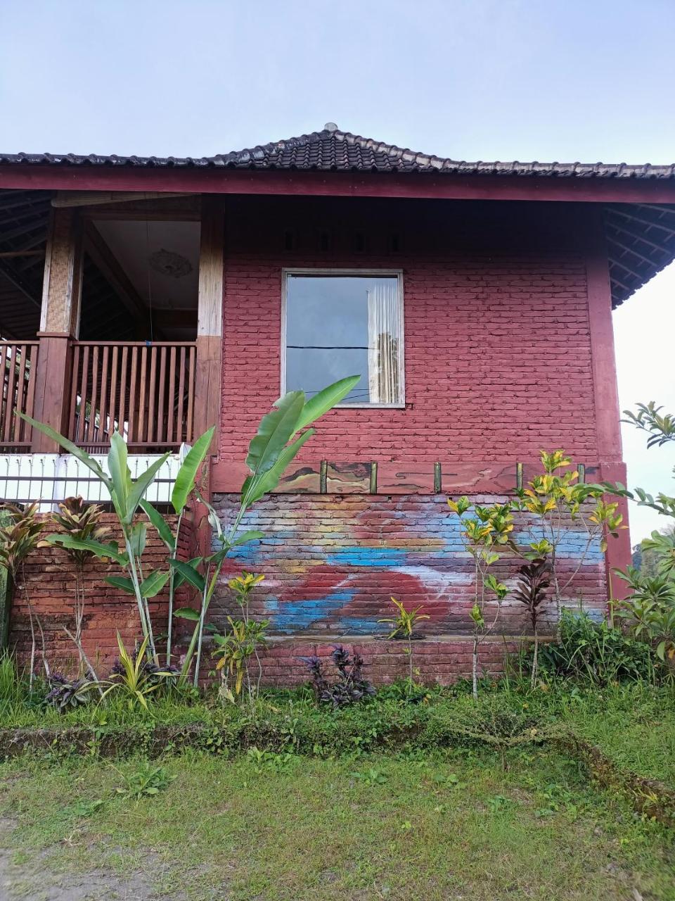 Lemon Tree Tetebatu — Unknown City — photo 5