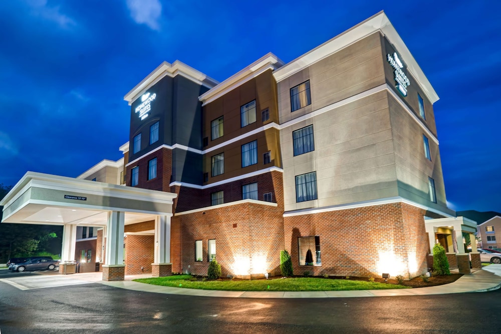 Homewood Suites By Hilton Christiansburg - photo 38