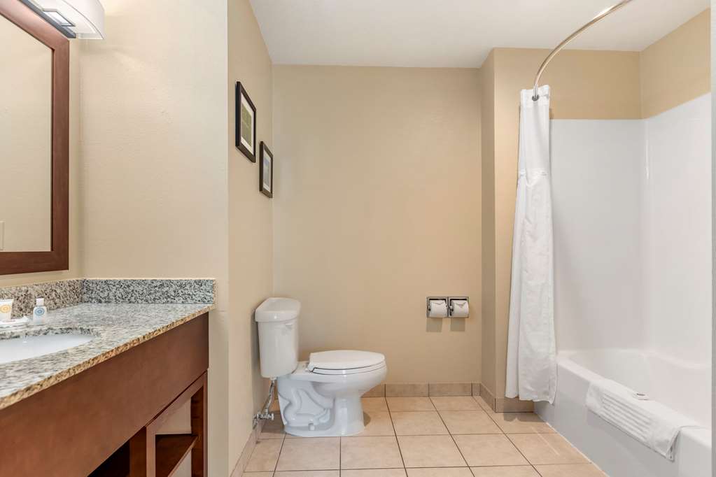 Comfort Suites Grand Rapids North - photo 20