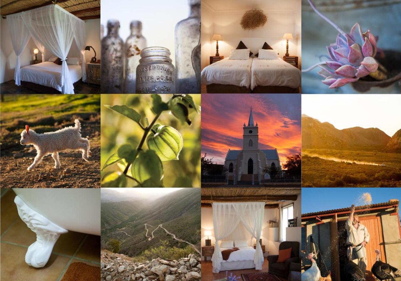 Karoo Khaya in Prince Albert, South Africa