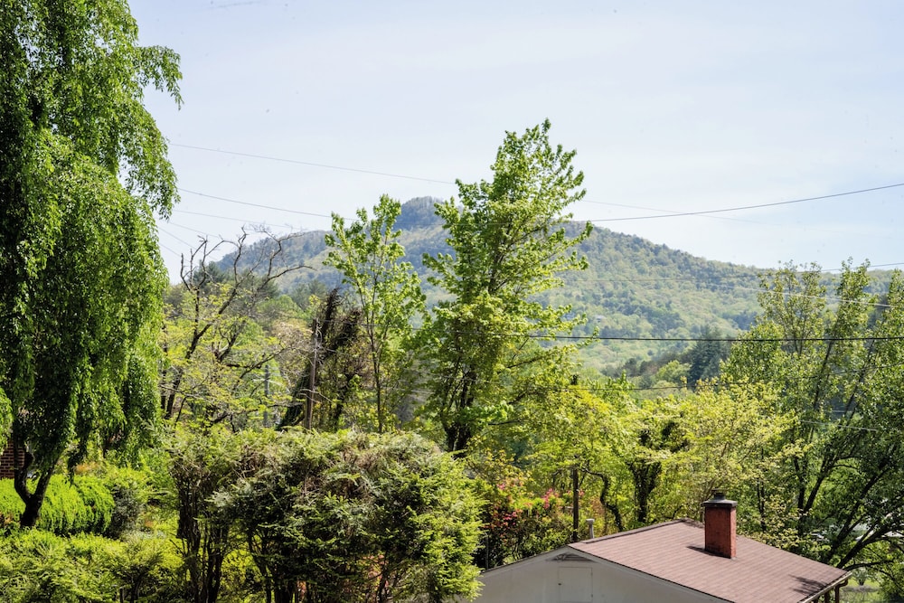 Mountain Aire Cottages & Inn - photo 321