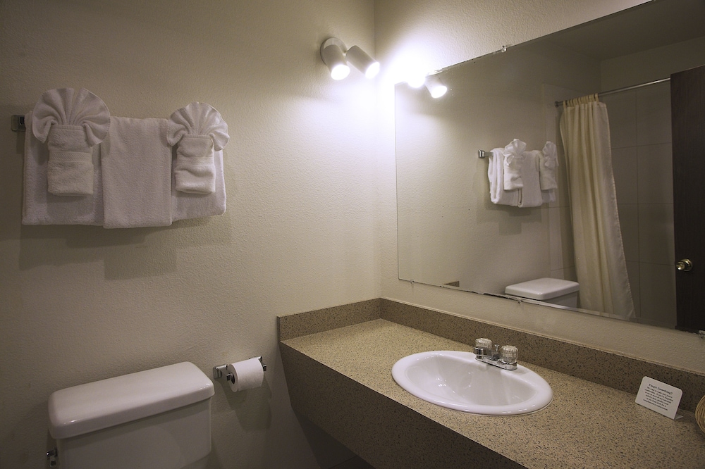 Aladdin Inn & Suites - photo 24