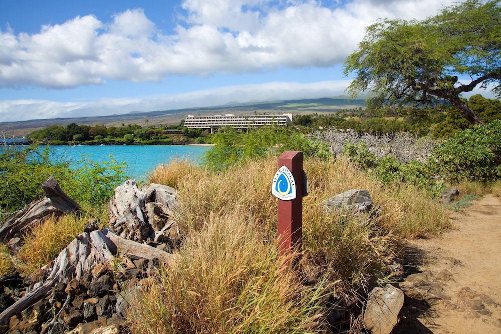 The Westin Hapuna Beach Resort - photo 197