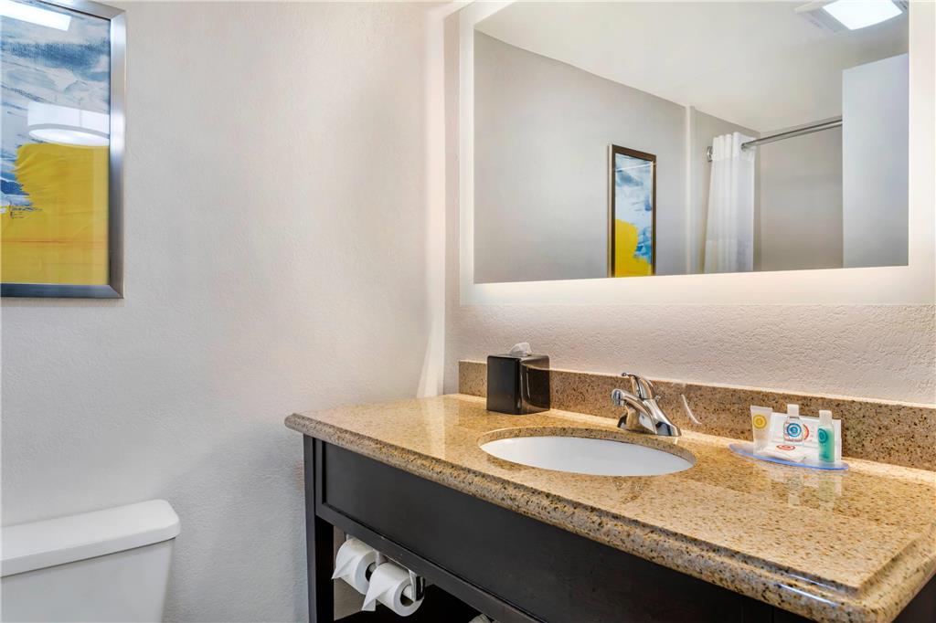Comfort Inn Oak Ridge Knoxville - photo 29
