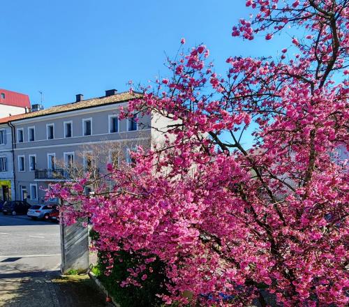 Alloggi Tosca Airport Lodges — hotel near Trieste Airport