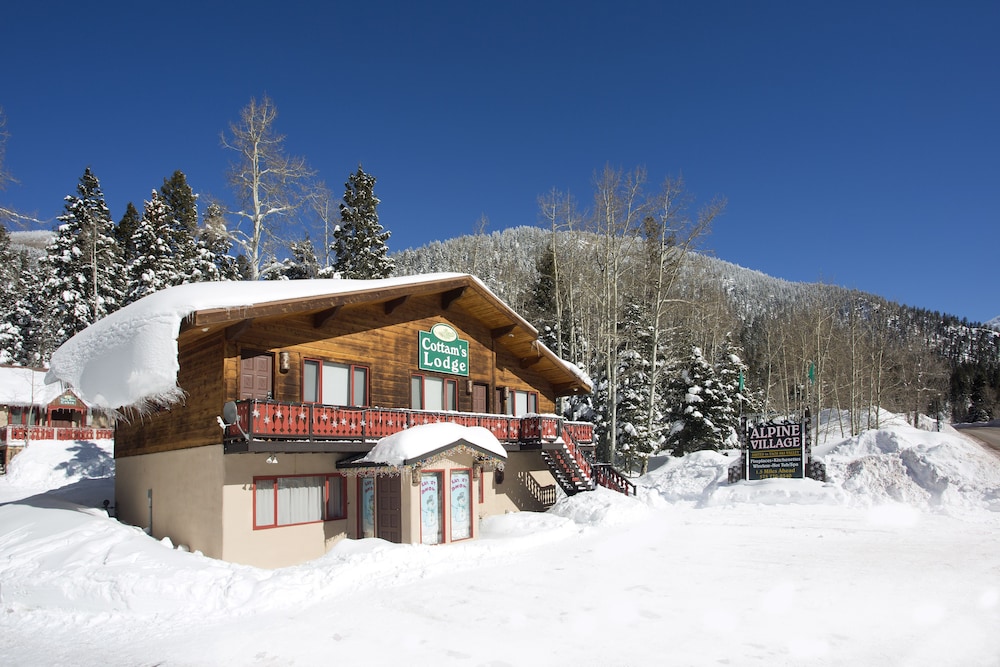 Cottam's Lodge by Alpine Village Suites - photo 29