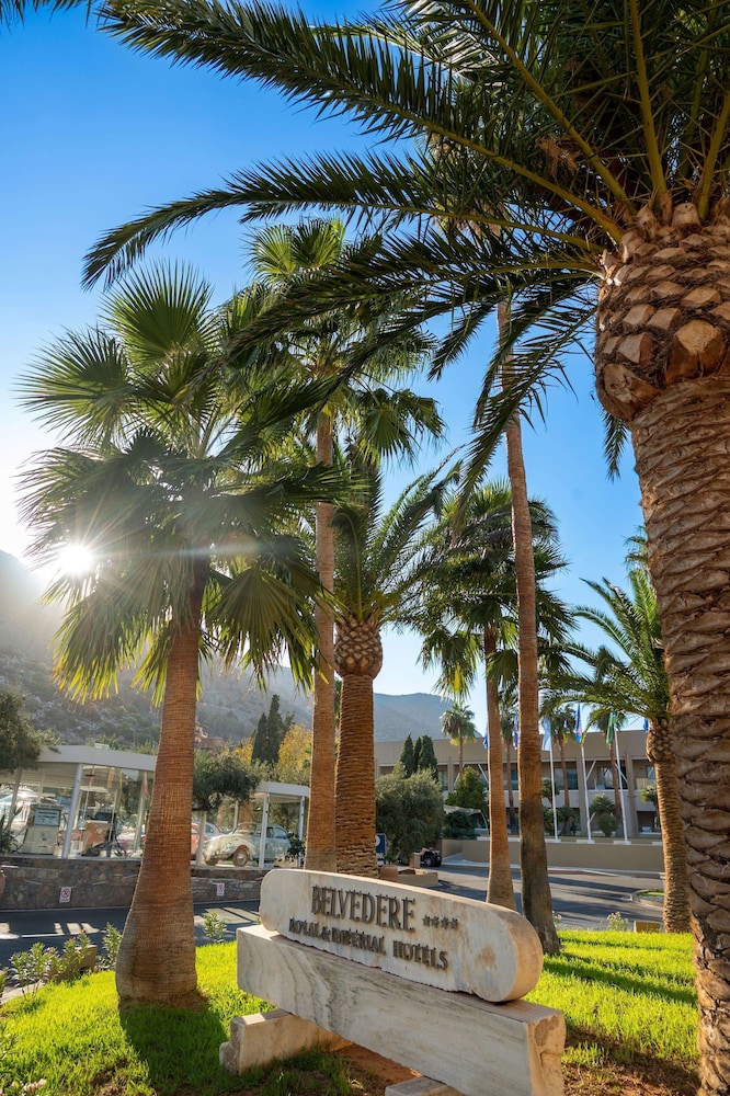 מראה חיצוני