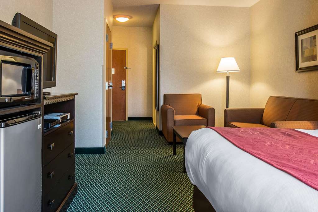 Comfort Suites Canton Detroit - photo 16
