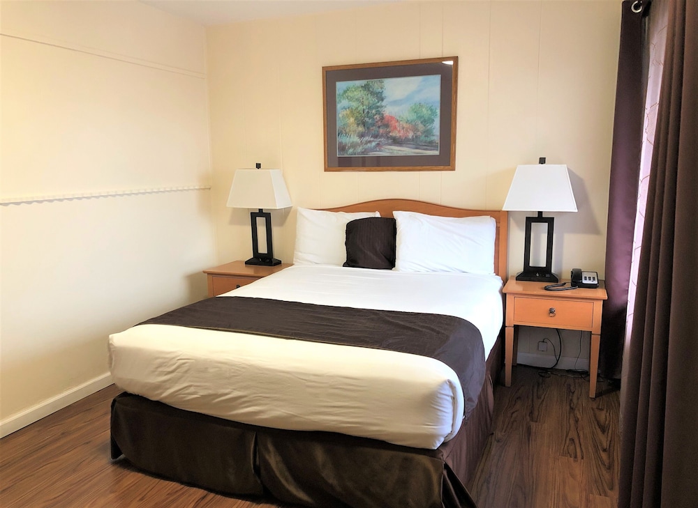 Blue Coast Inn and Suites - photo 16