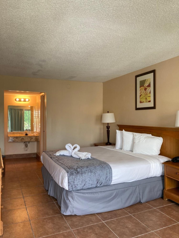 Altamonte Springs Hotel and Suites - photo 7