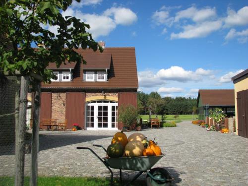 Ferienhof Erlengrund — 4-Star Luxury Hotel in Klitten, Germany