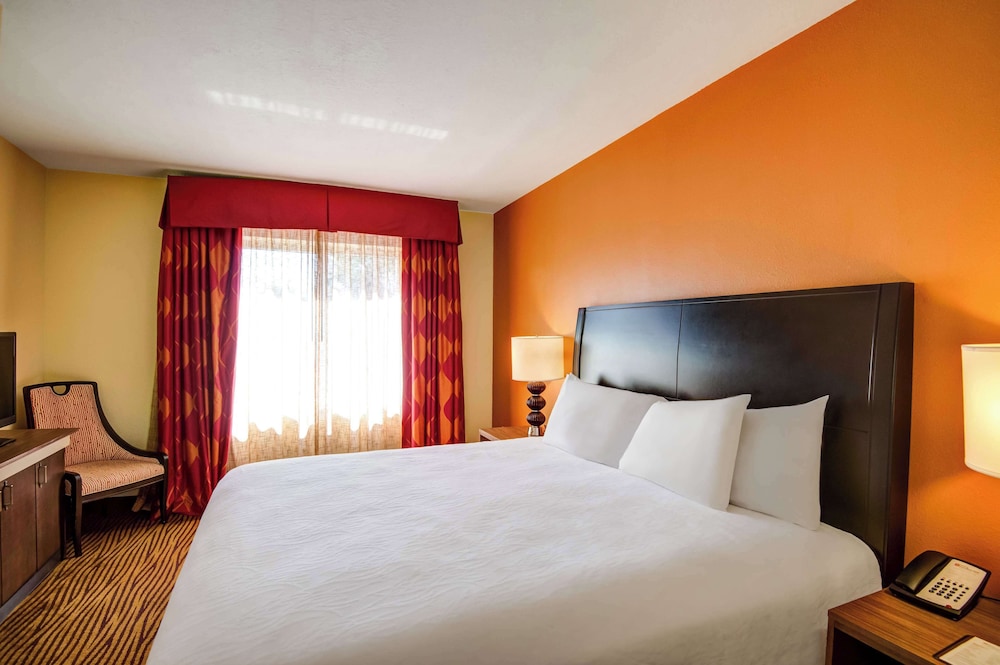 Hilton Garden Inn Tampa Ybor Historic District - photo 8