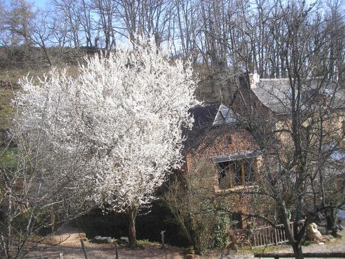 Grange Renovee En Pleine Nature pet-friendly hotel Valady