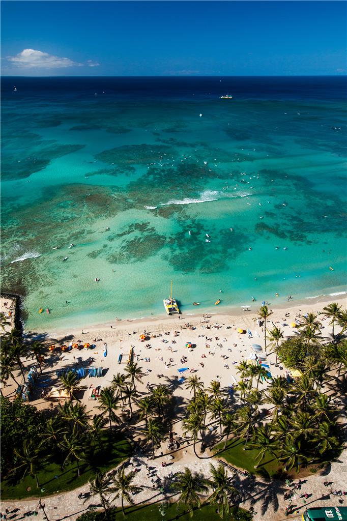Hyatt Regency Waikiki Beach Resort & Spa - photo 74