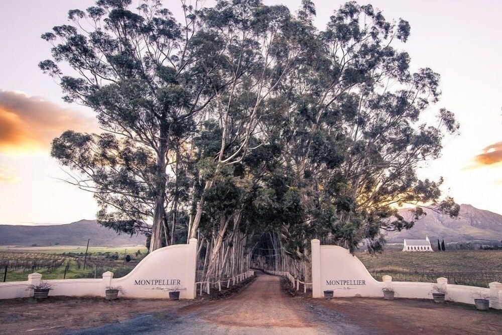 Montpellier De Tulbagh in Ceres, South Africa