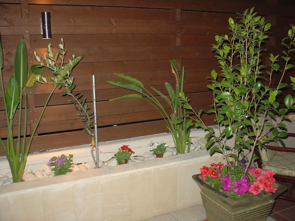 Chloe’s Lettings in Paphos, Cyprus