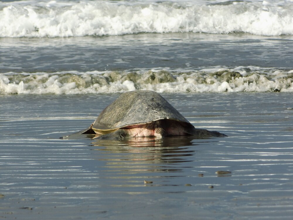 Parque Maritimo El Coco in San Juan Del Sur, Nicaragua