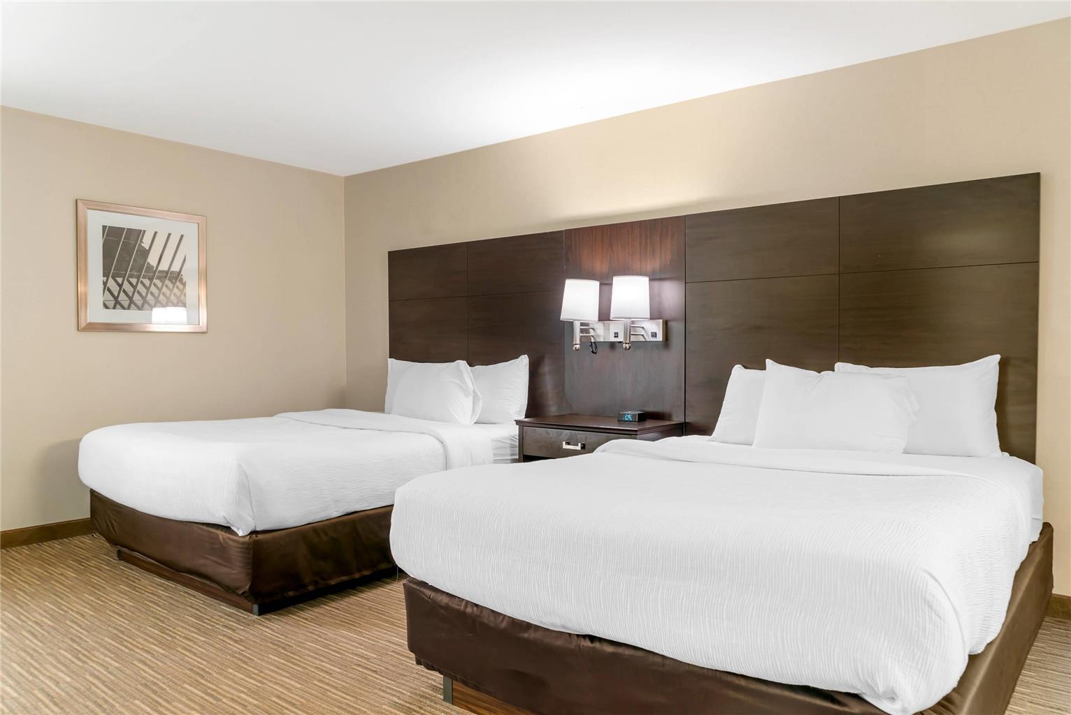 Quality Inn & Suites Monroe - photo 36