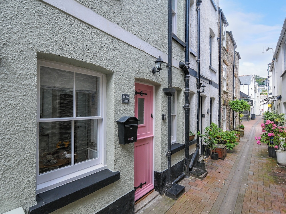 Sea Pinks in Looe, United Kingdom