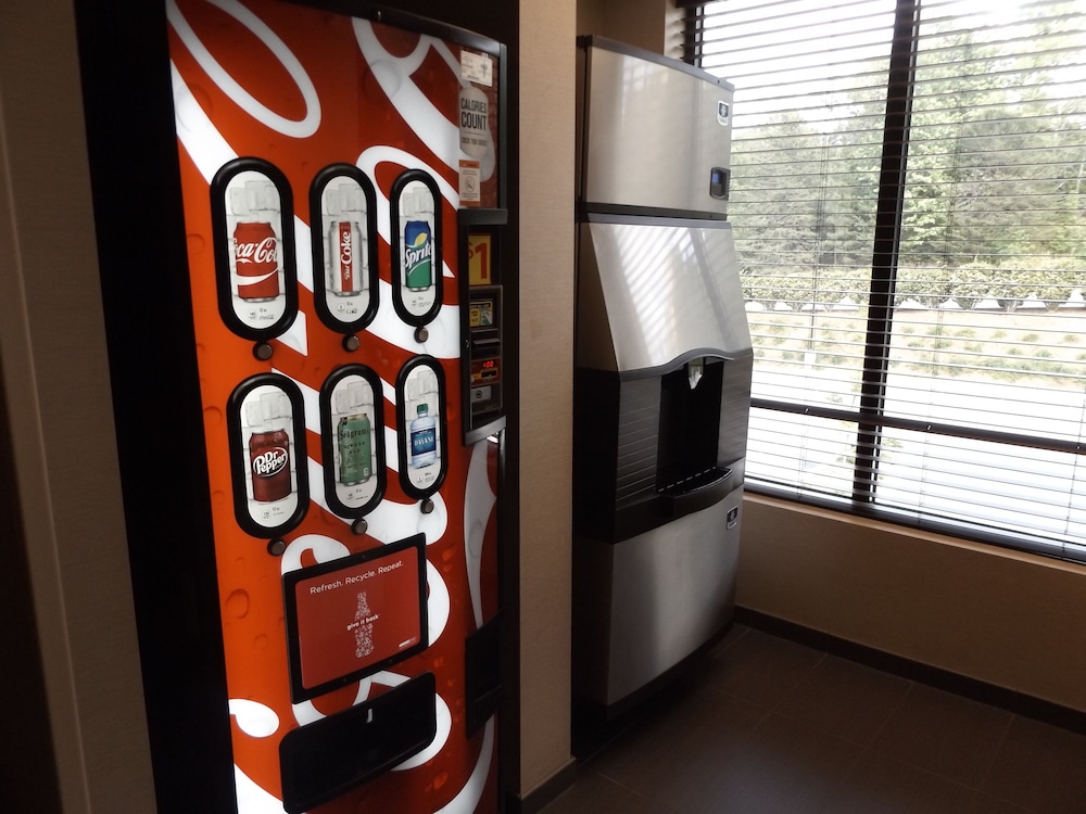 Hampton Inn & Suites Greenville Airport SC - photo 47