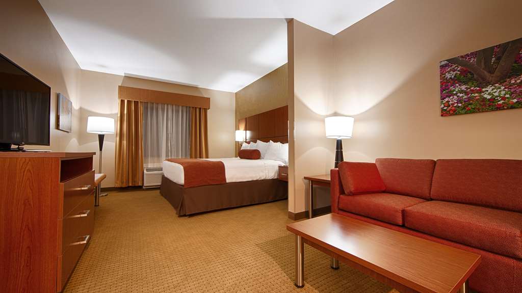 Best Western Plus Finger Lakes Inn & Suites - photo 9