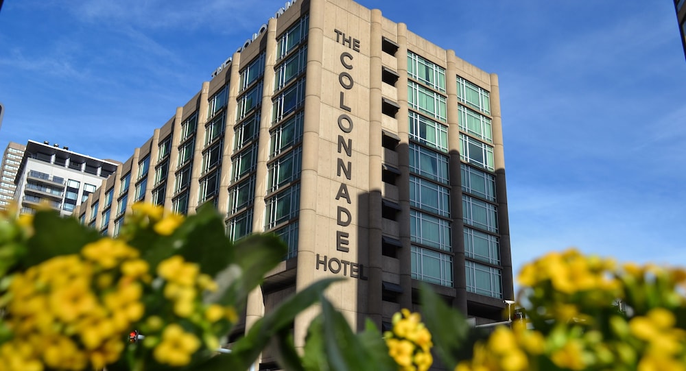 The Colonnade Hotel Back Bay - photo 46