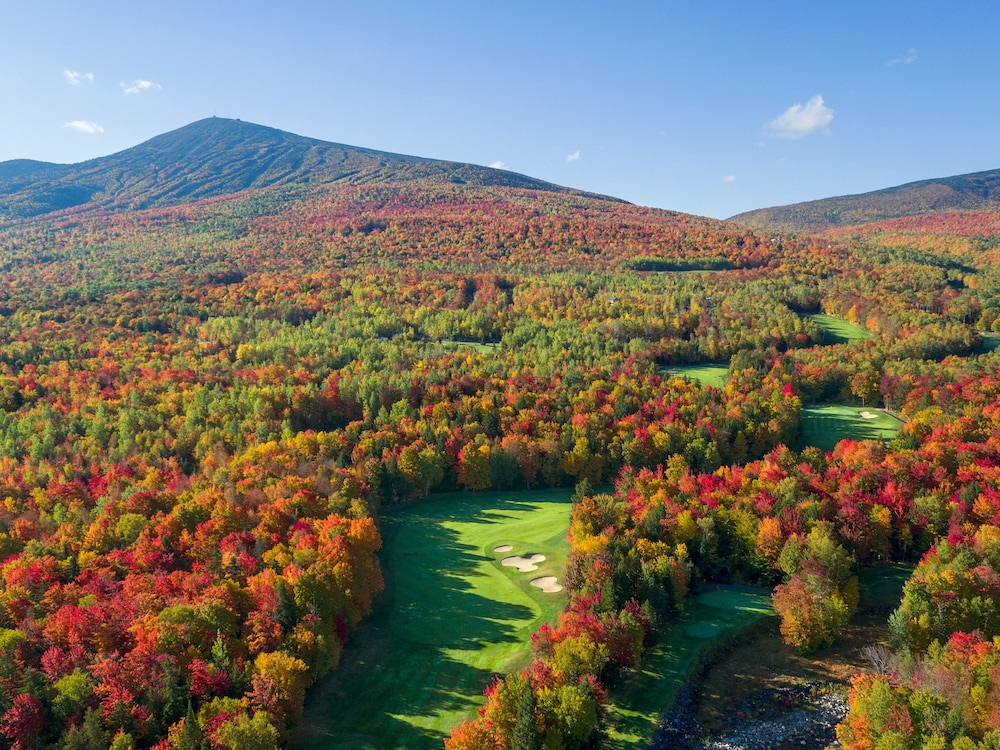 Sugarloaf Mountain Hotel - photo 24
