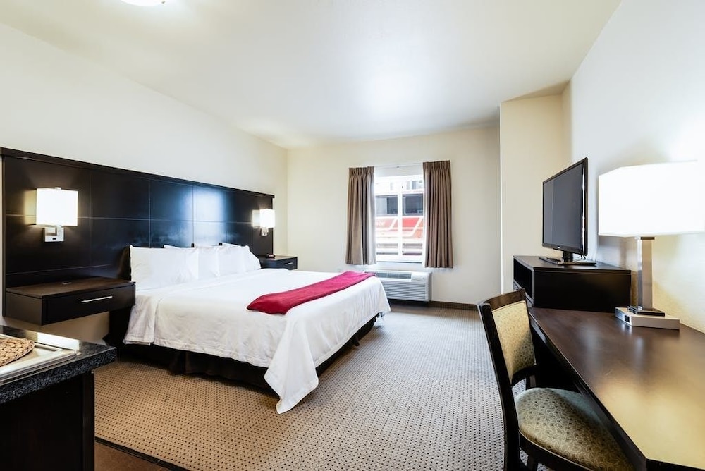 Black Gold Suites Stanley - photo 6
