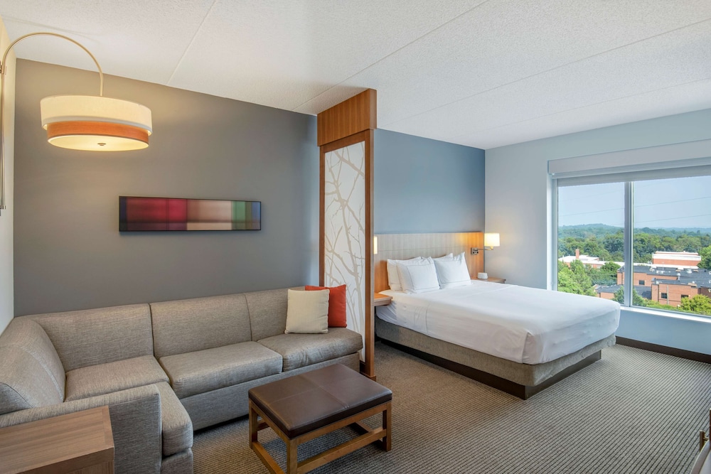 DoubleTree by Hilton Asheville Downtown - photo 35