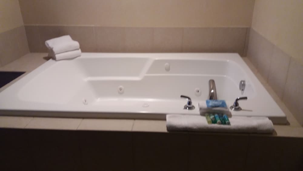 Holiday Inn Express Hotel & Suites Waterford by IHG - photo 25